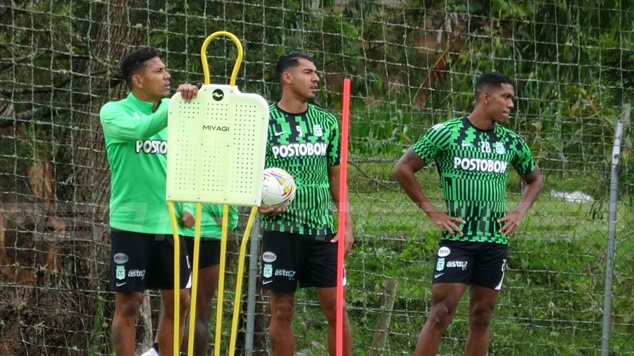 respuesta Arriero Herrera Berrío